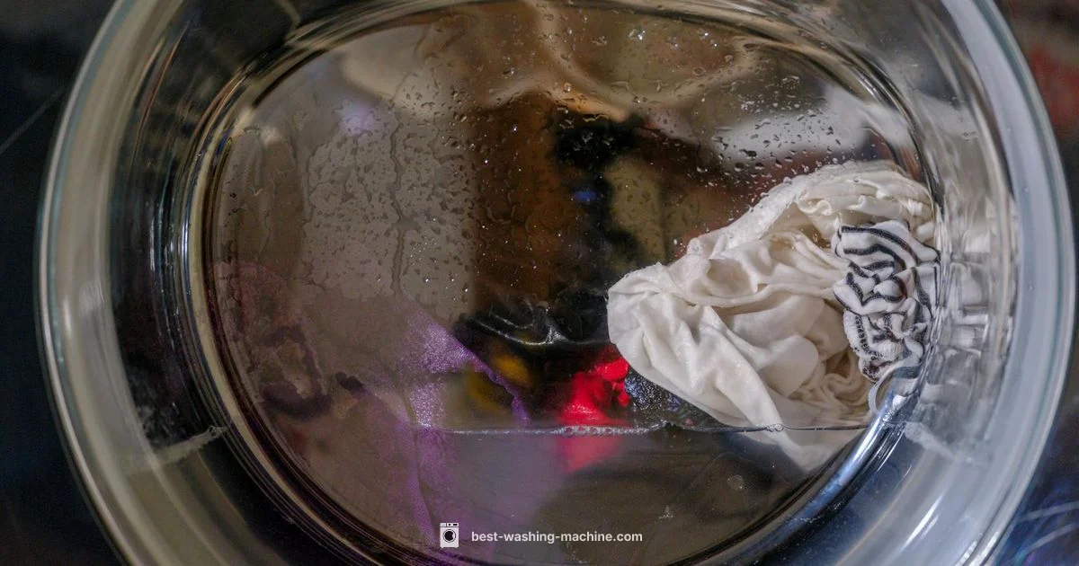 Not Spinning Fix - Best Washing Machine