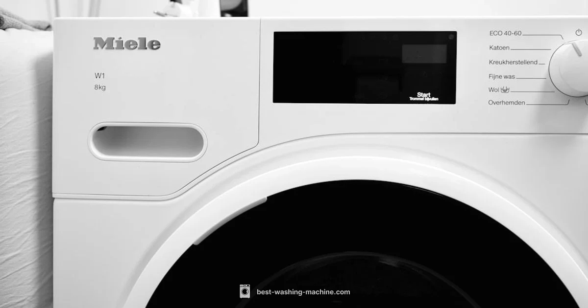 Mould-Free Laundry - Best Washing Machine