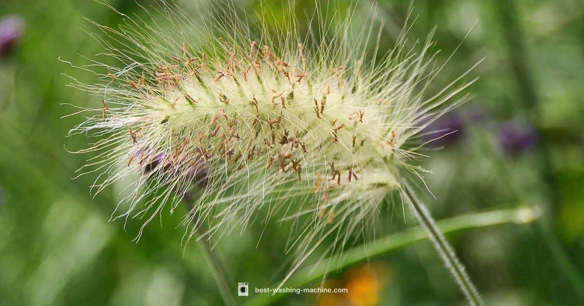 Active Cleaner Guide - Best Washing Machine