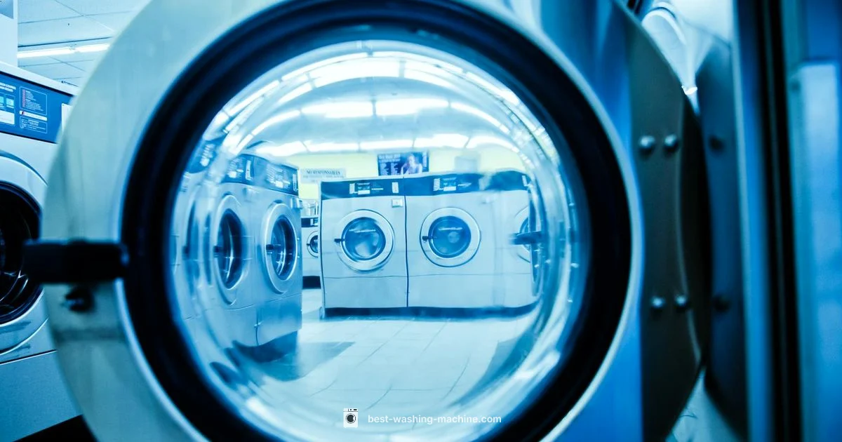 Lint Trap Guide - Best Washing Machine