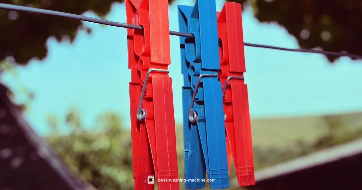 Blue Laundry Pair - Best Washing Machine