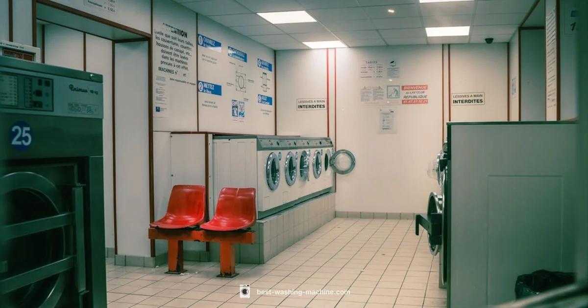 Laundromat Essentials Guide - Best Washing Machine