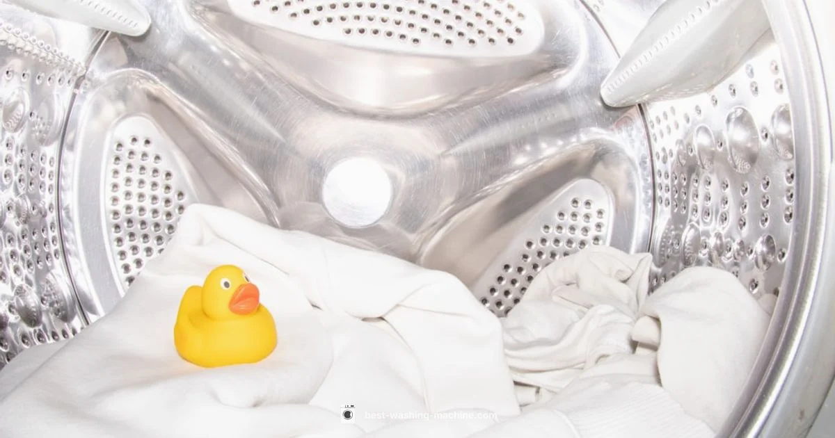 Lint Trap Guide - Best Washing Machine