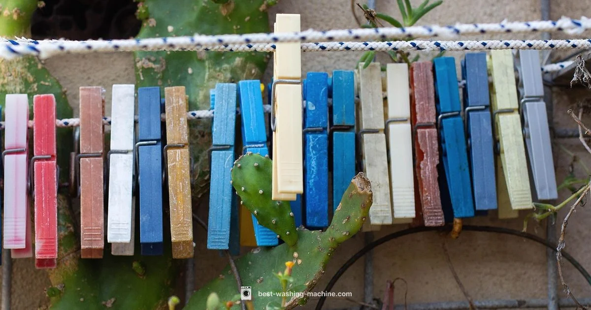 Washer-Dryer India - Best Washing Machine