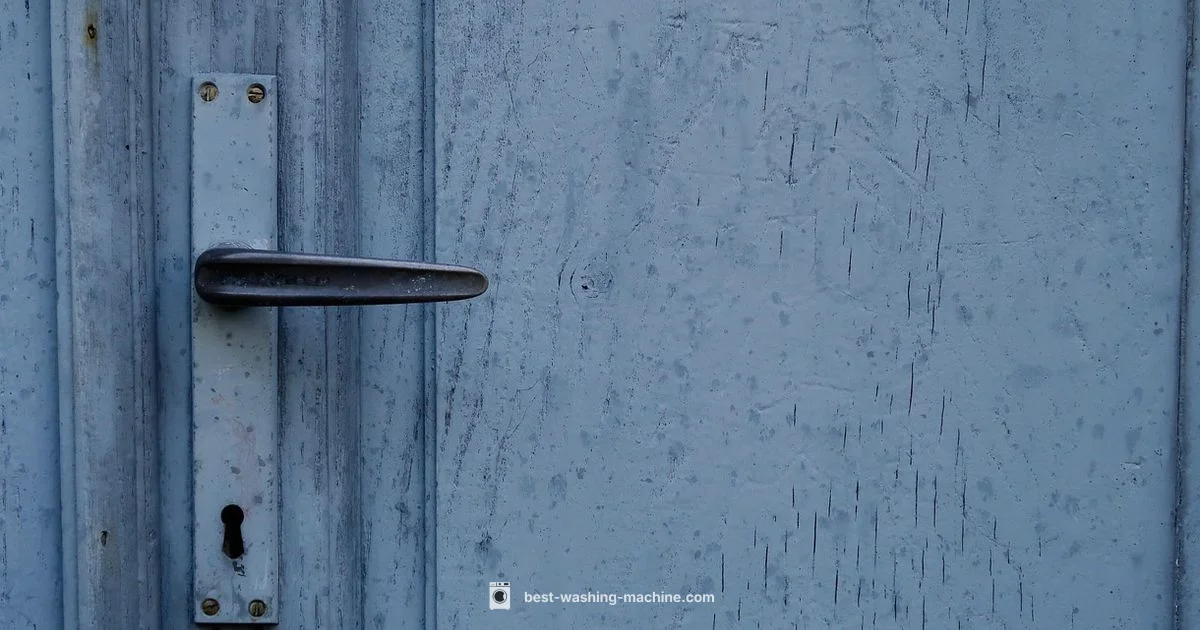 Door Gasket Guide - Best Washing Machine