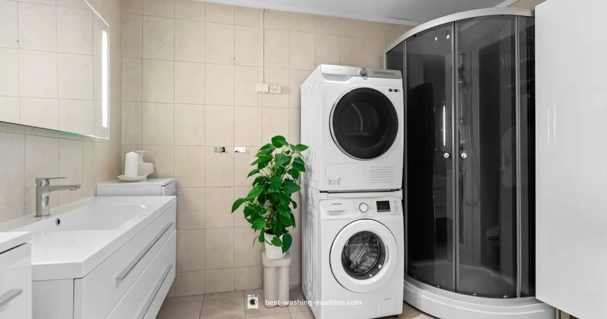 Mold Prevention Tips - Best Washing Machine