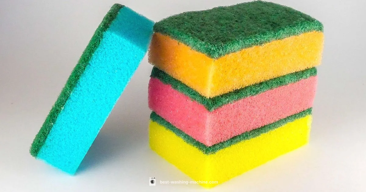 Washer Care Guide - Best Washing Machine