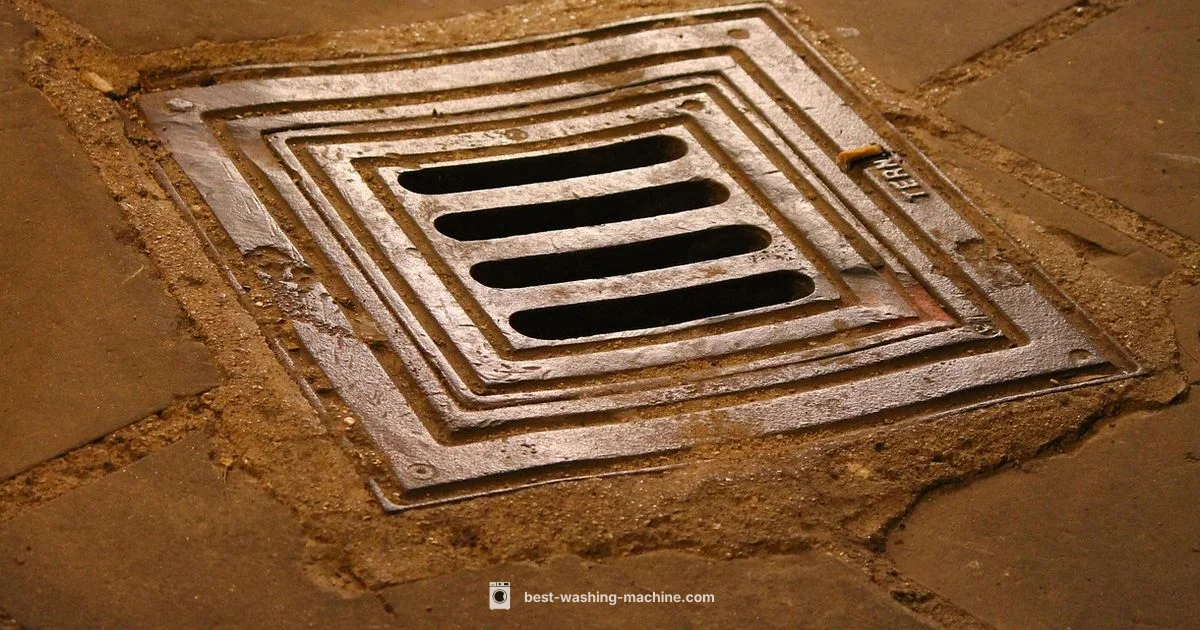 Floor Drain Setup Floor Drain Setup - Best Washing Machine