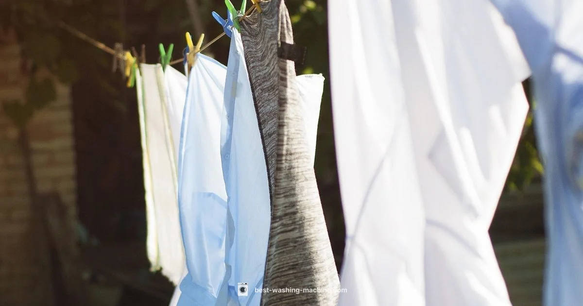 Japan Washing Concept - Best Washing Machine