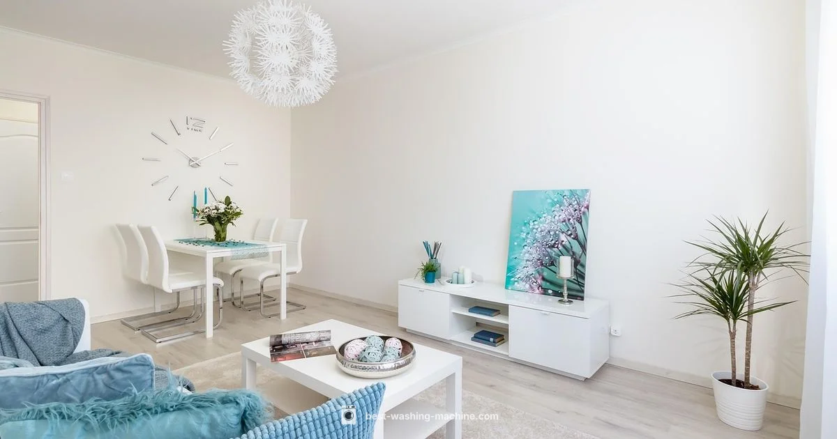 Cost Guide 2026 - Best Washing Machine