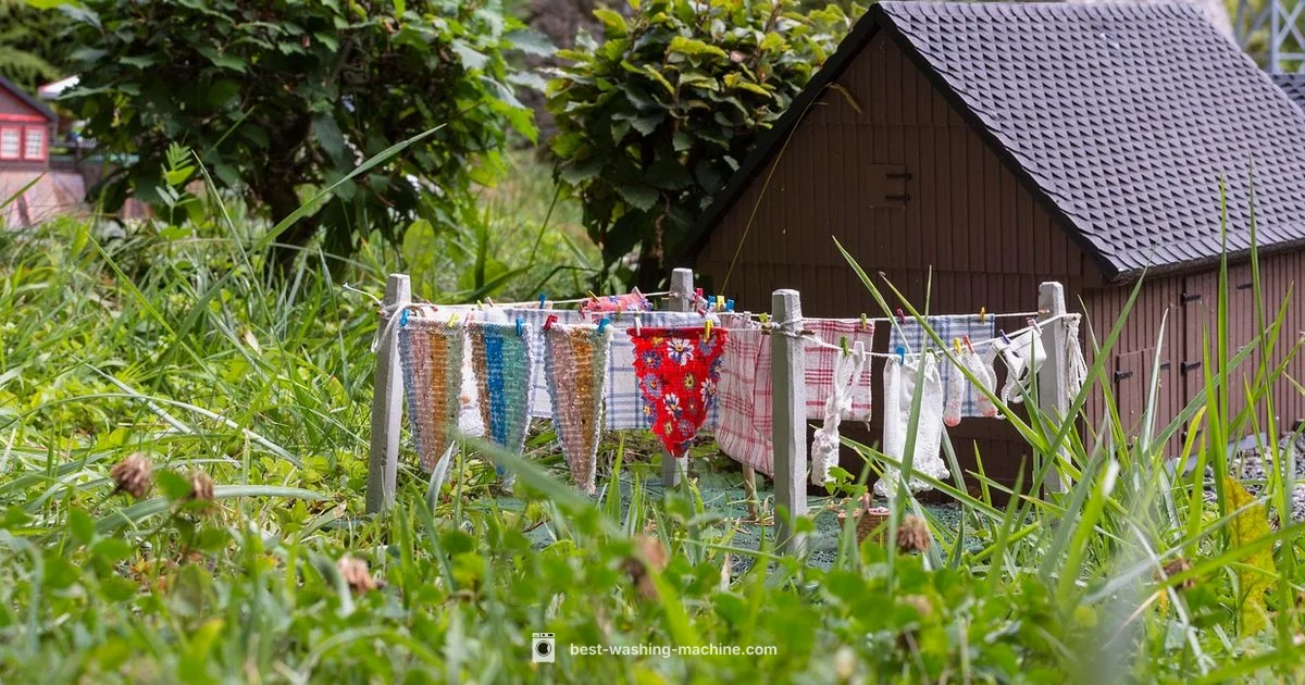 5.5 kg Guide - Best Washing Machine