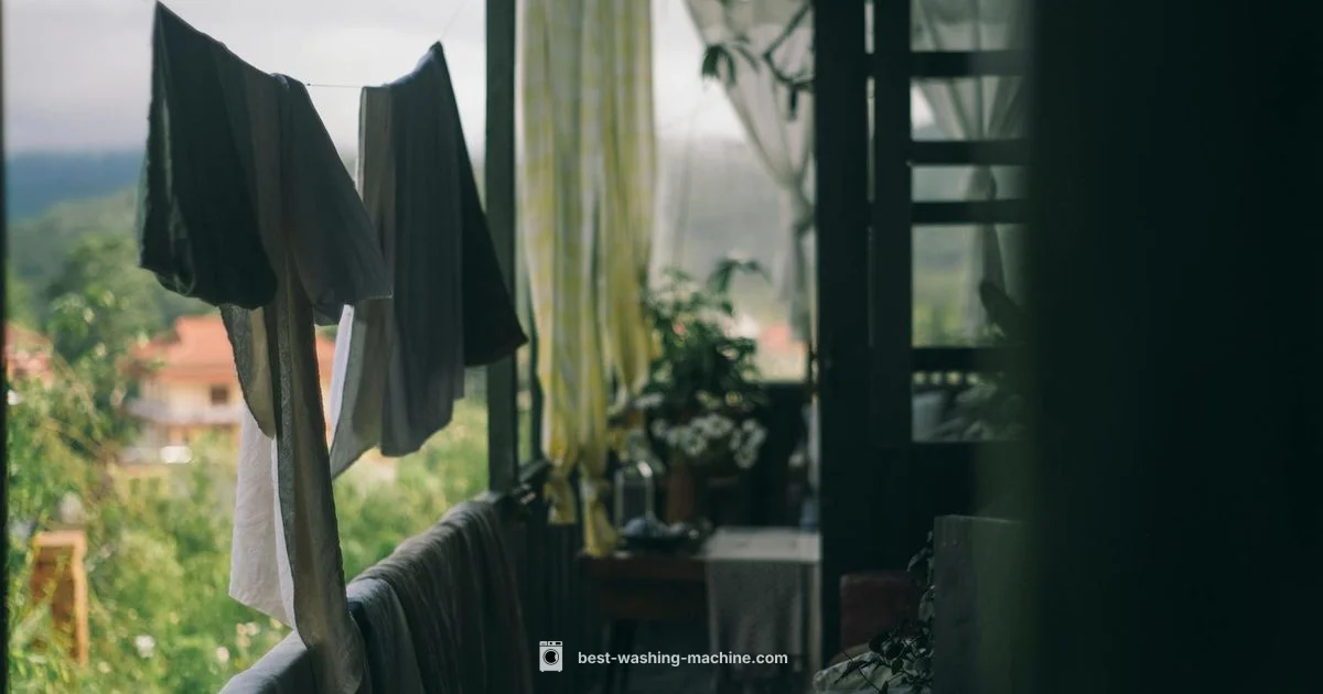 Lid Switch Repair - Best Washing Machine