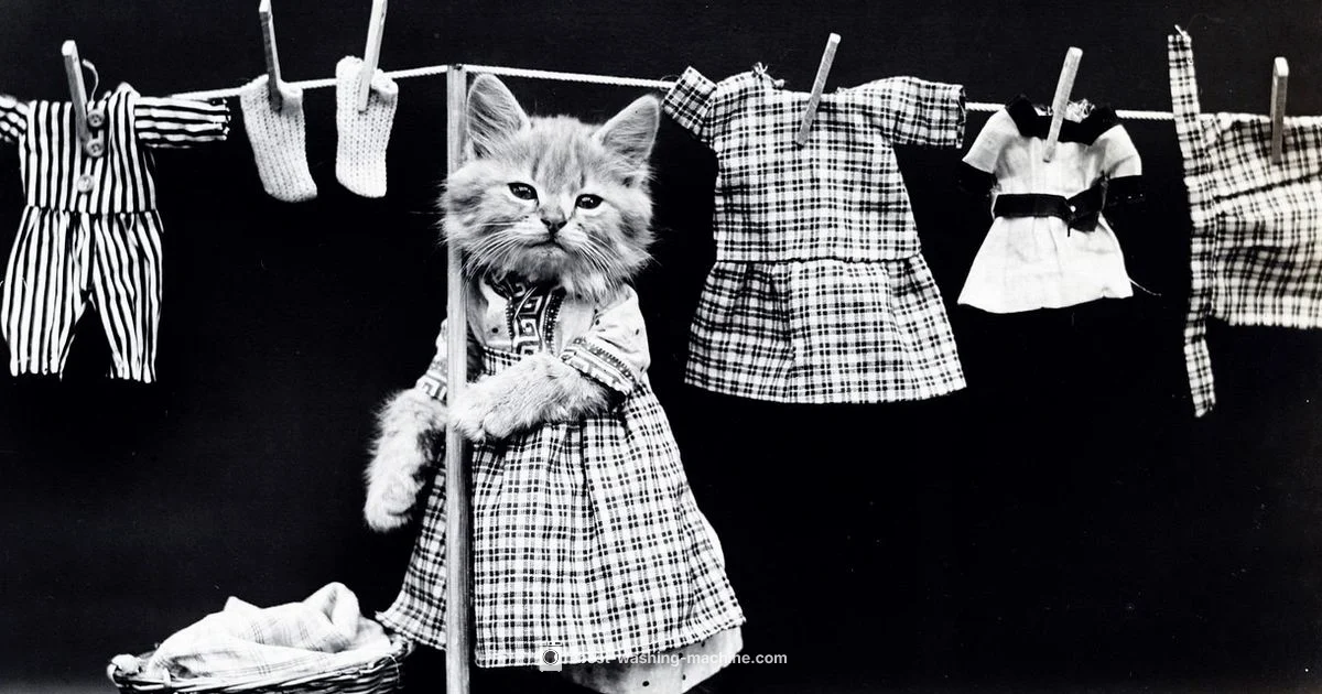 Pet Hair Wash Tips Pet Hair Wash Tips - Best Washing Machine