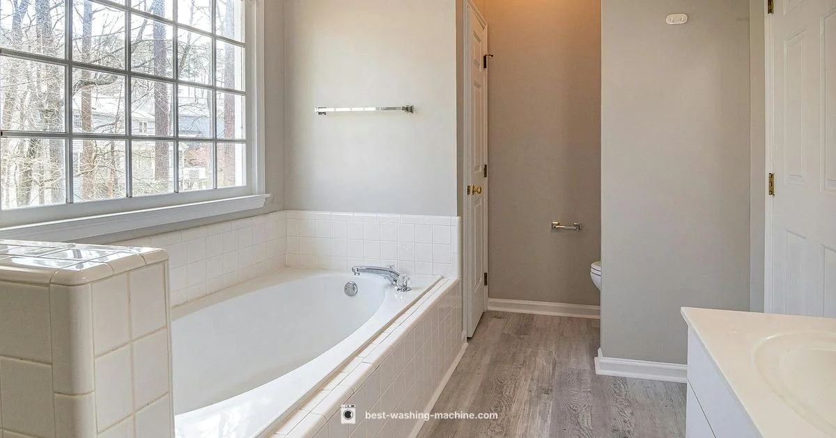 Large-Capacity Picks Large-Capacity Picks - Best Washing Machine