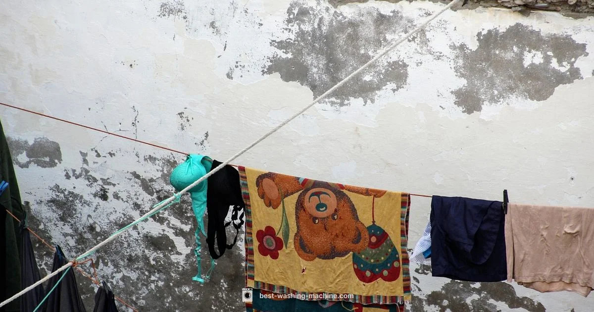 Washer-Dryer Clarity - Best Washing Machine