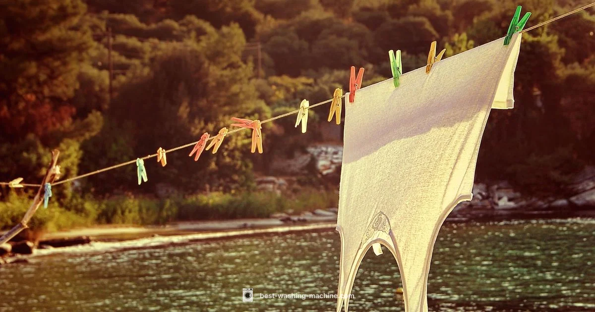 Lice and Laundry Myth - Best Washing Machine