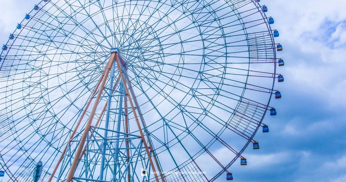 LG Sale Insights - Best Washing Machine