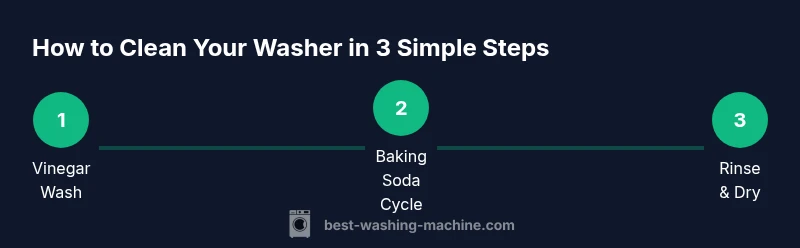 Infographic showing 3-step DIY washer cleaner process