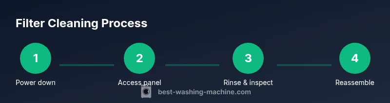 Process diagram showing filter cleaning steps