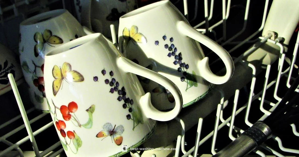 Concurrent Use - Best Washing Machine