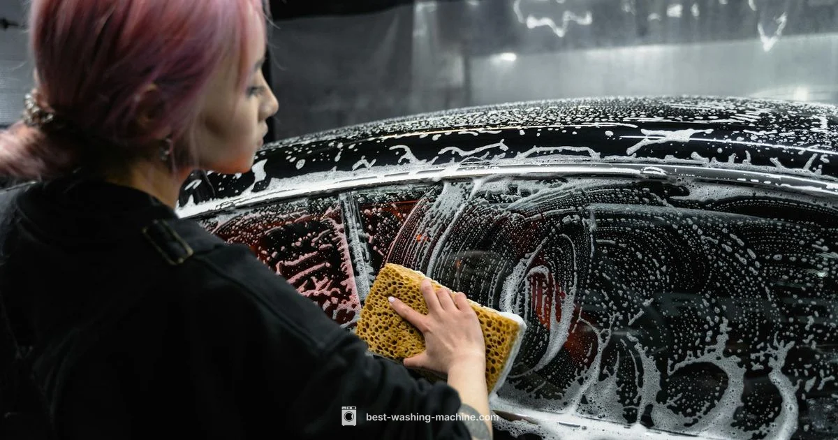 Paddles Dilemma - Best Washing Machine