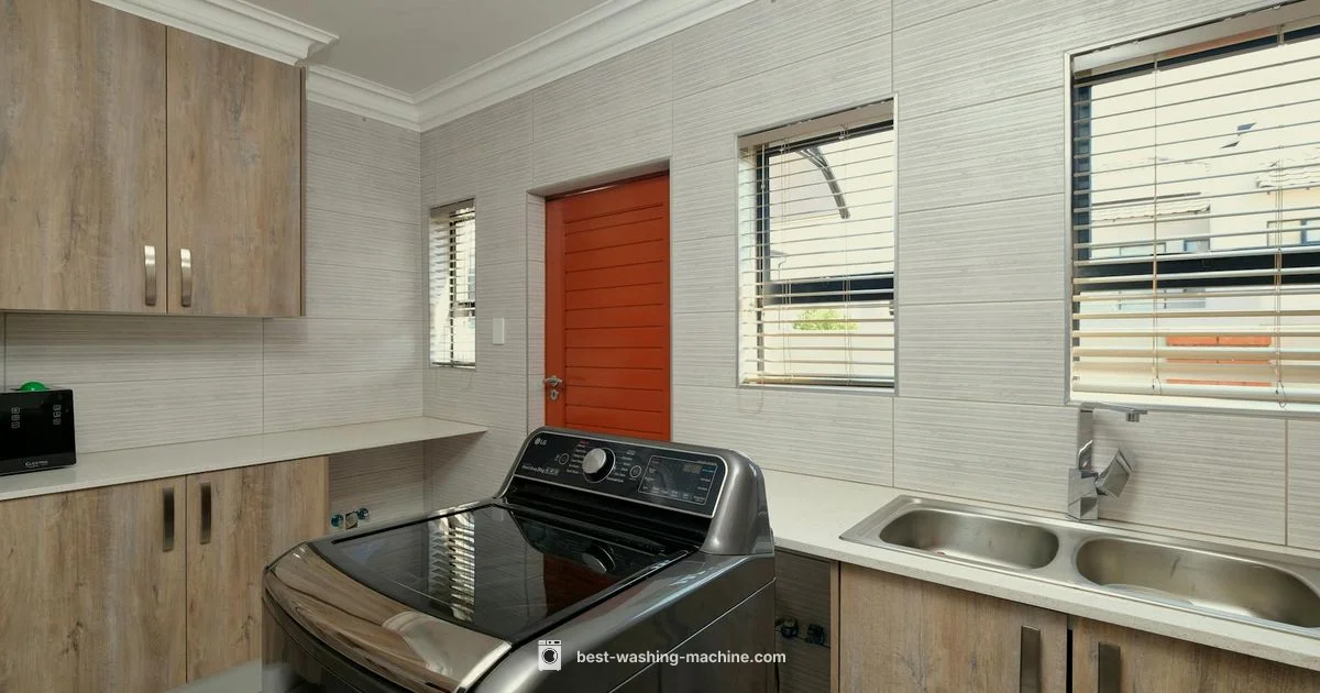 IFB Washer Review - Best Washing Machine