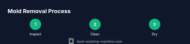 Process infographic showing mold removal steps for washing machines