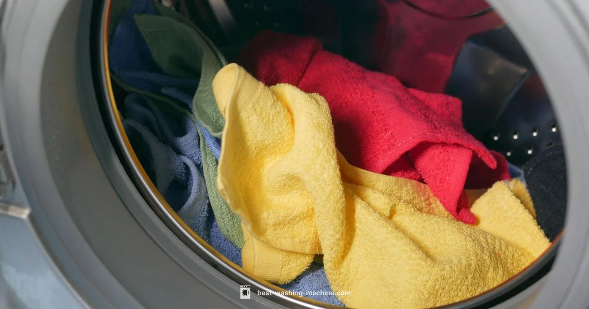 Shaking Washer - Best Washing Machine