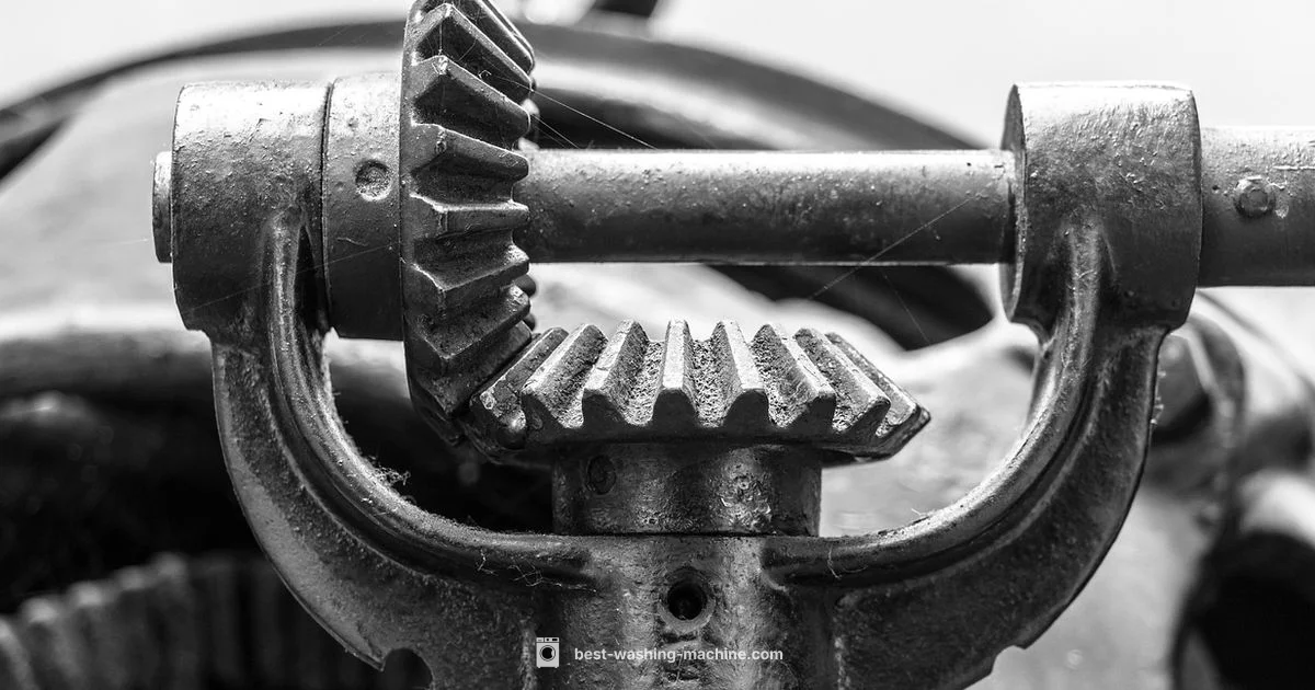 Transmission Repair Guide - Best Washing Machine