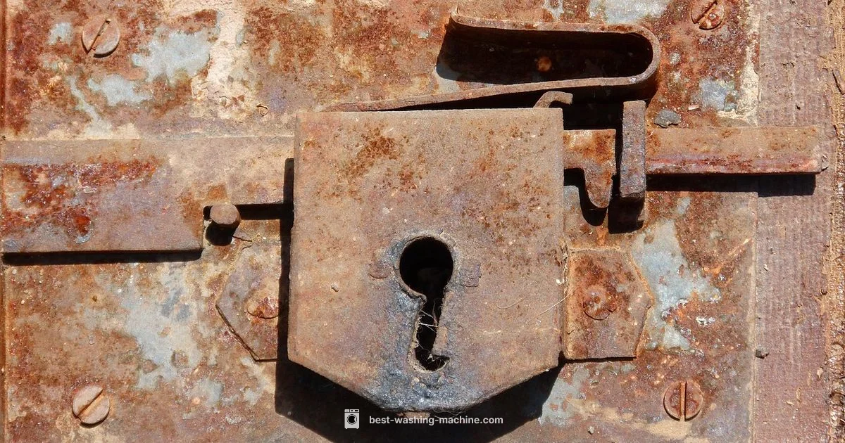 Lock Mechanism Guide - Best Washing Machine