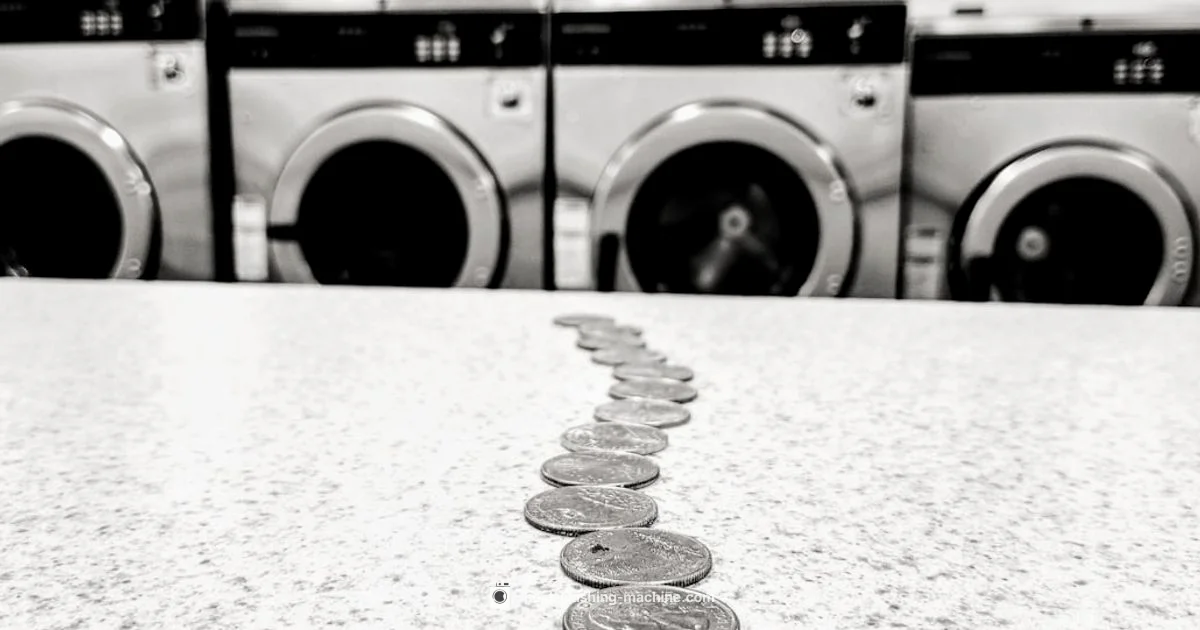 Public Laundry Guide - Best Washing Machine