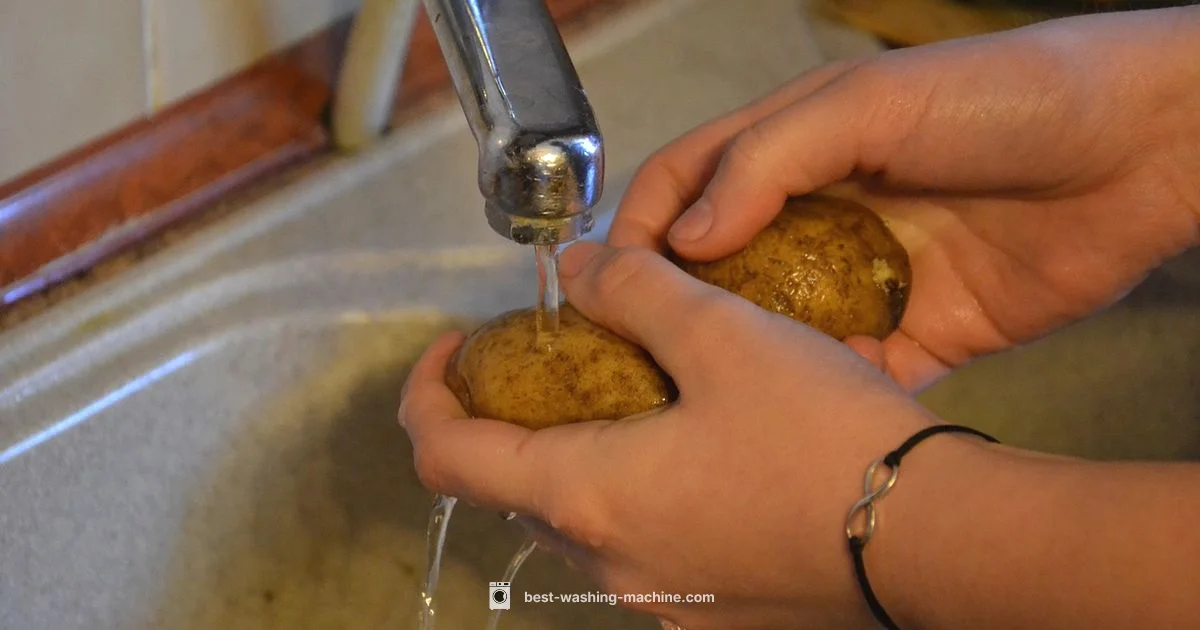 Veg Wash Machine - Best Washing Machine