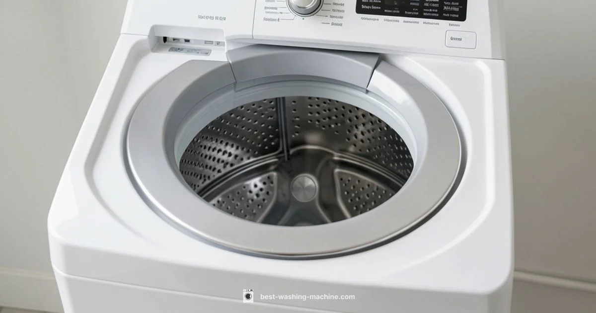 Removable Agitator Guide Removable Agitator Guide - Best Washing Machine