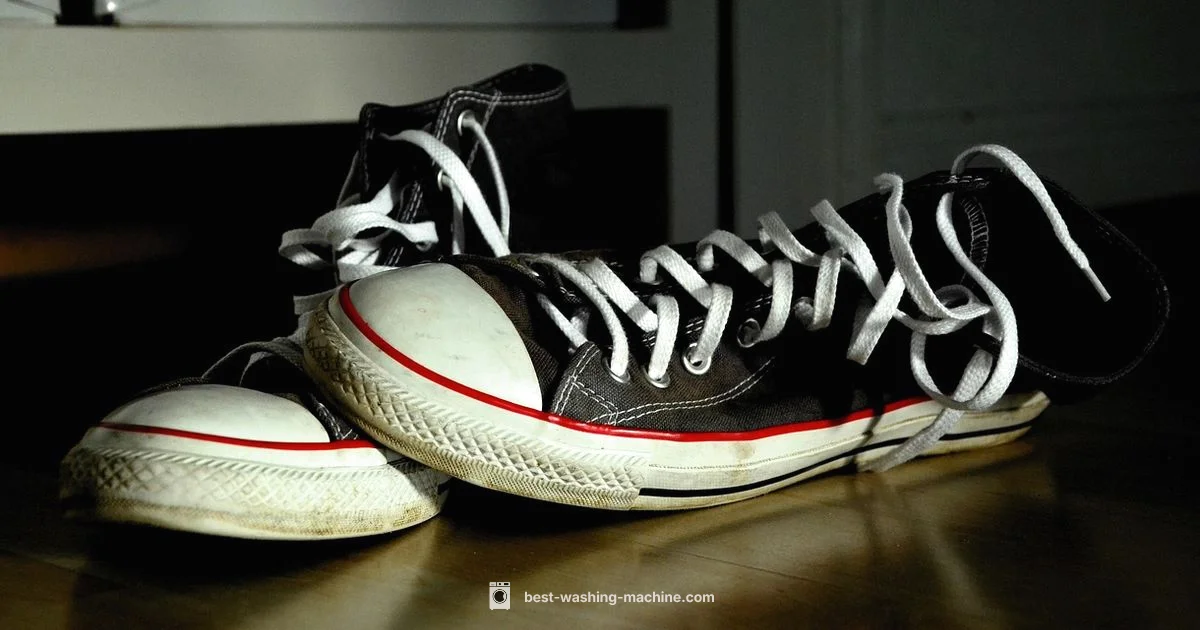 Sneaker Care Guide - Best Washing Machine