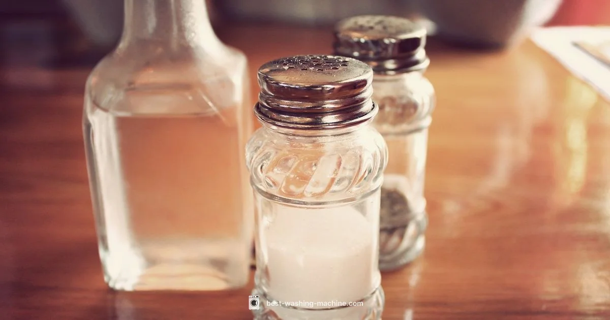 Vinegar Guide for Washers - Best Washing Machine