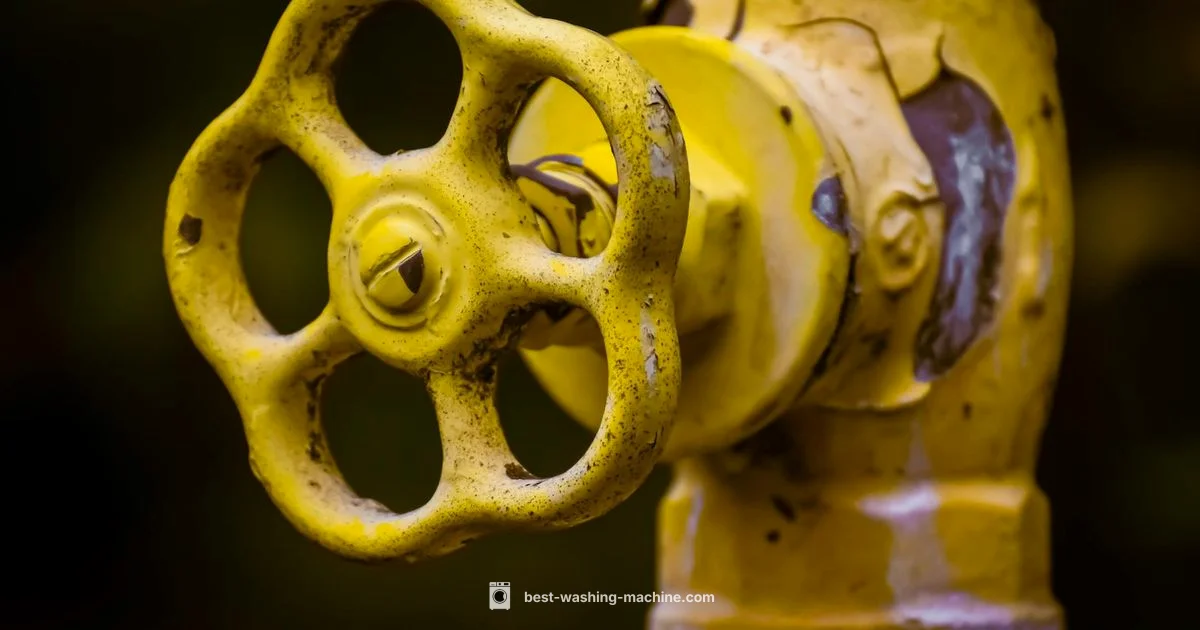 Safe Washer Disconnection - Best Washing Machine