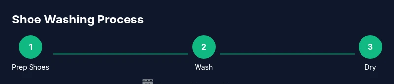 Process infographic showing shoe washing steps