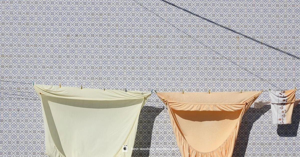 Placement Guide - Best Washing Machine