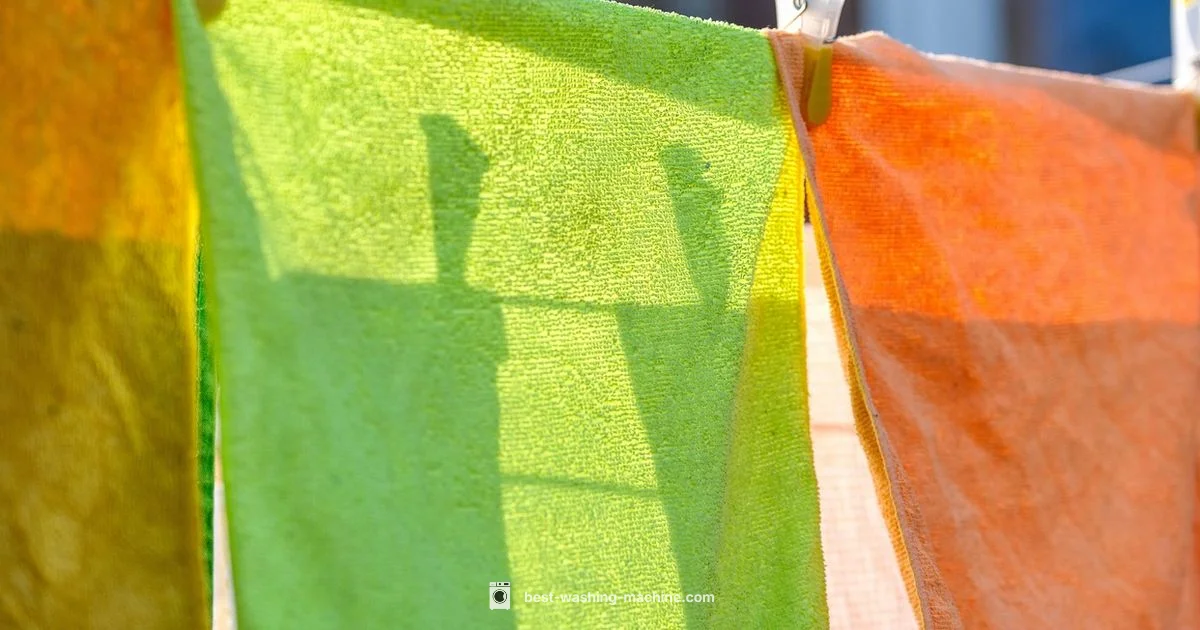 Drum Cleaning Guide - Best Washing Machine