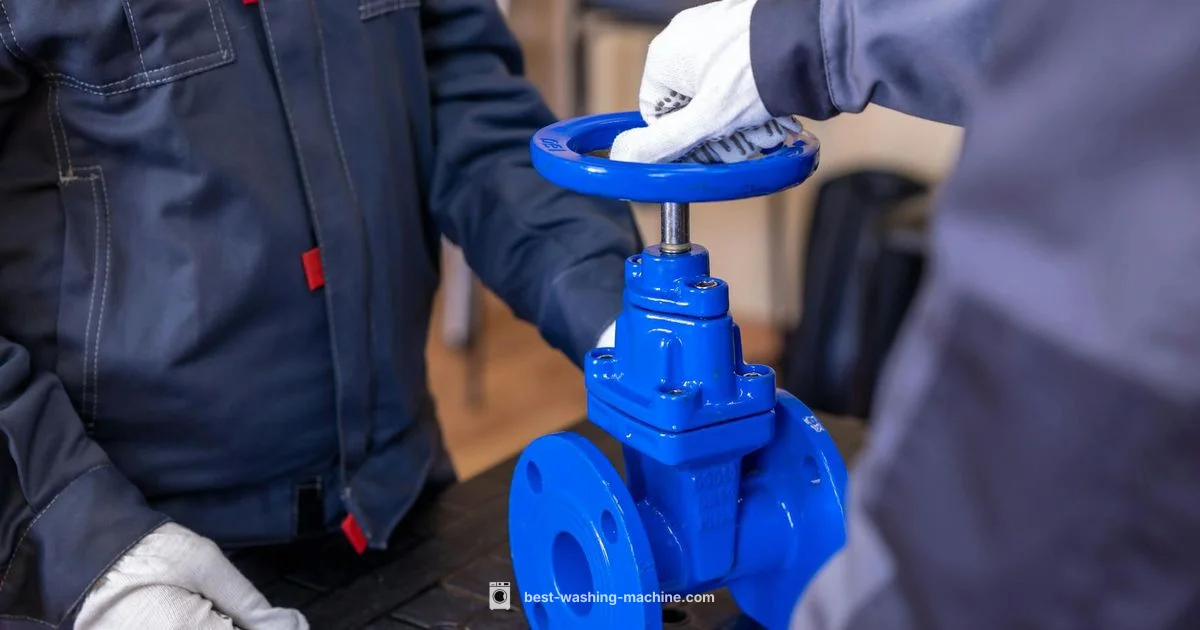 Valve Replacement Guide - Best Washing Machine