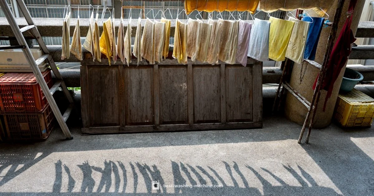 Budget Washers - Best Washing Machine