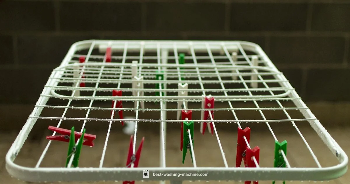 Best Washing Brand 2026 - Best Washing Machine