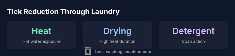 Infographic showing heat, drying, and detergent roles in tick control during laundry