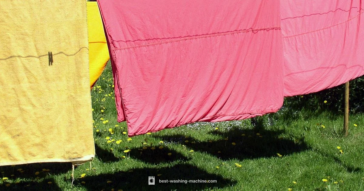 Detergent Sheets Guide - Best Washing Machine