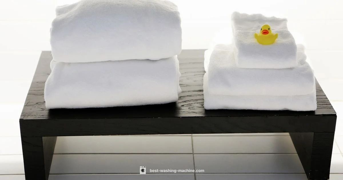 Washer Maintenance Basics Washer Maintenance Basics - Best Washing Machine