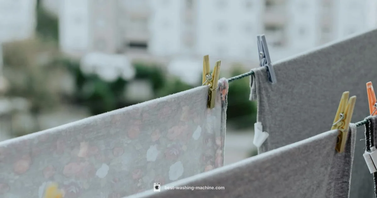 Rent a Washer Nearby - Best Washing Machine