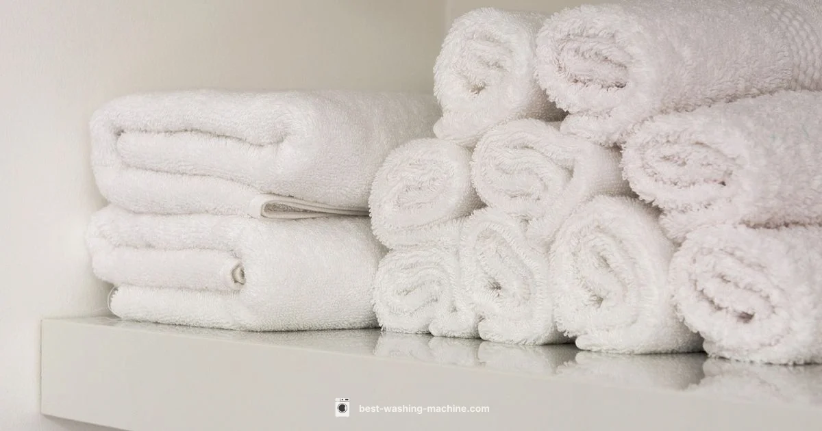 Maytag Agitator Guide - Best Washing Machine