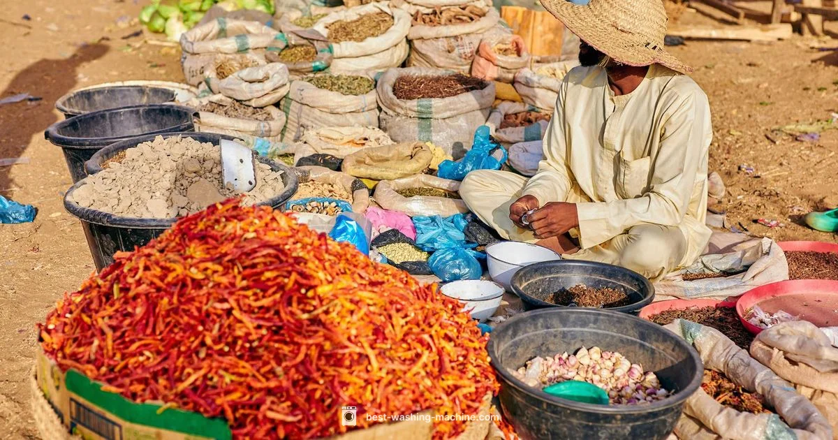 Washing Machine Prices Washing Machine Prices - Best Washing Machine