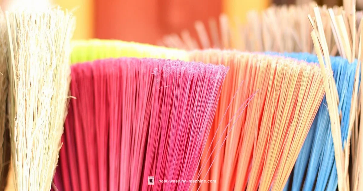 Carpet Rental Guide - Best Washing Machine