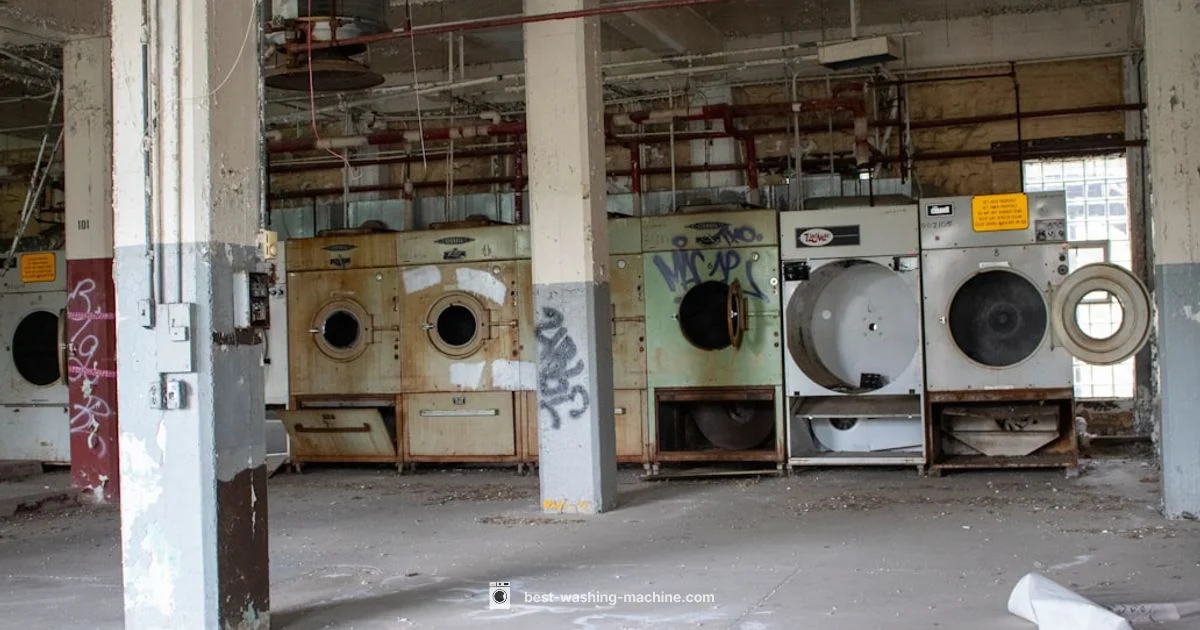 Gas vs Electric - Best Washing Machine